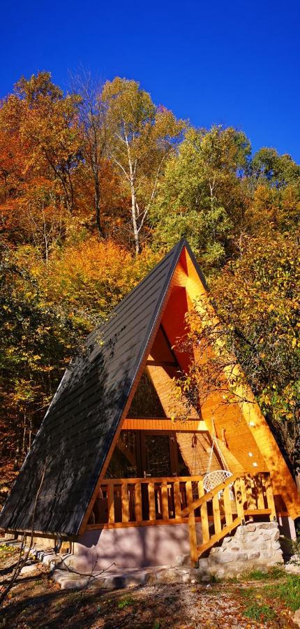 Casa - Cabana Tip A Frame, Cerna, Vaideeni, Valcea Cerna  Exteriér fotografie