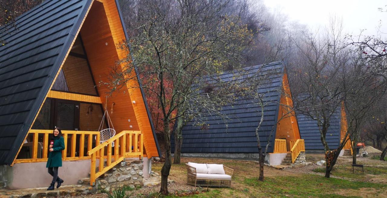 Casa - Cabana Tip A Frame, Cerna, Vaideeni, Valcea Cerna  Exteriér fotografie