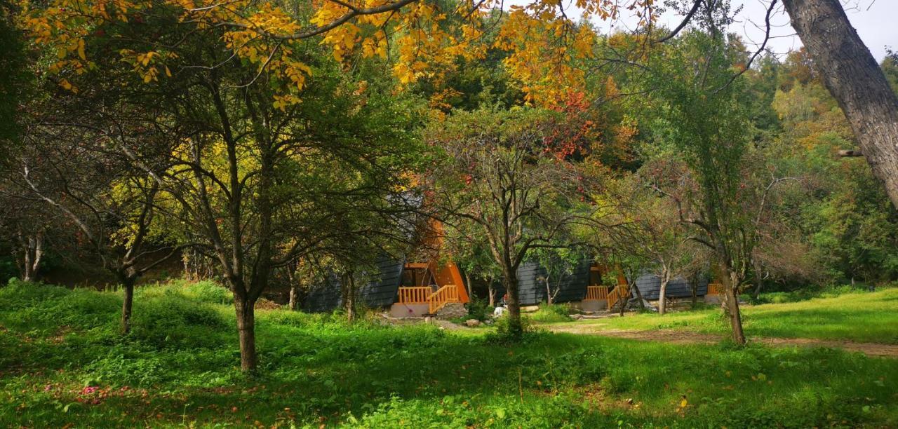 Casa - Cabana Tip A Frame, Cerna, Vaideeni, Valcea Cerna  Exteriér fotografie